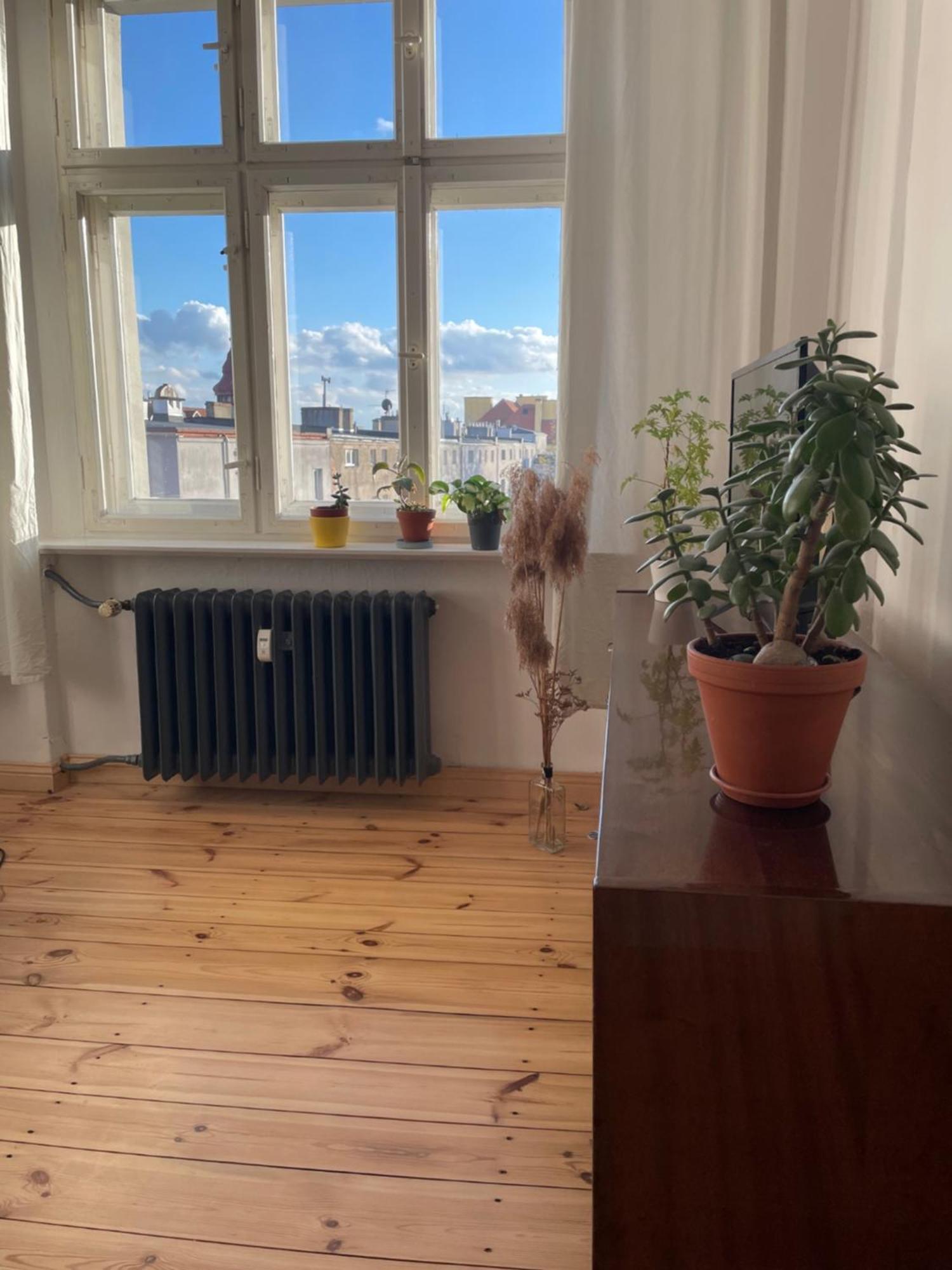Sentymenty - Apartamenty W Kamienicy Na Mickiewicza Stary Toruń Zewnętrze zdjęcie